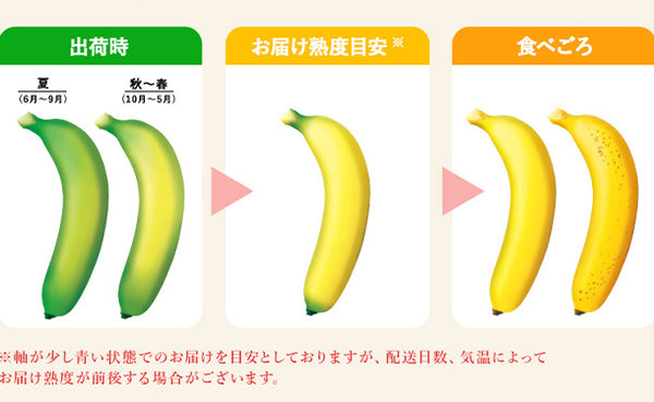 「業務用 訳あり甘熟王バナナ」