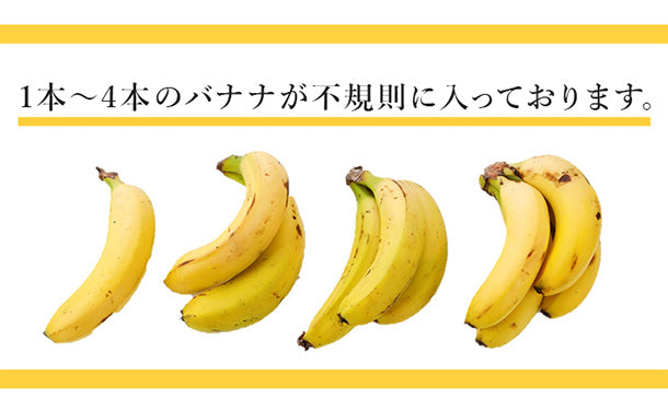 スミフル「甘熟王バナナ（規格外）」25～30本（約5kg）の通販 