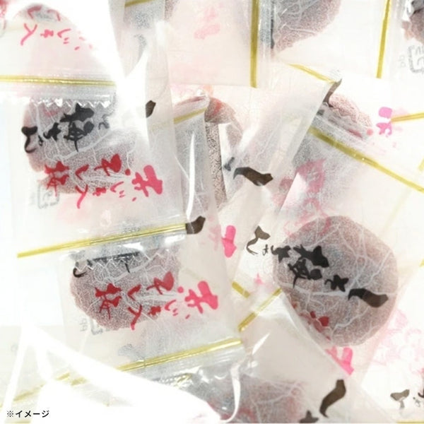 「梅干し 赤しそ入り  種なし しそ梅ちゃん」