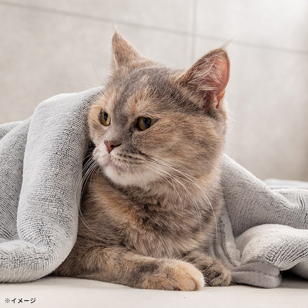 トロフワタッチ毛布（グレー）」のお得通販｜Kuradashi(クラダシ)で