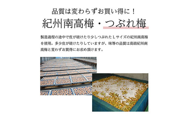 「紀州南高梅 つぶれ梅 Lサイズ しそ味（塩分8%）」