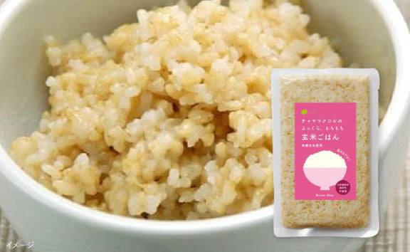 CHAYAマクロビ「カレー6種＆玄米ごはん2種セット」