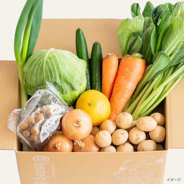 ロスへル×Kuradashi わくわくロス野菜ボックス（S）」1～2人向けのお得