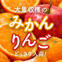 みかん・りんご特集