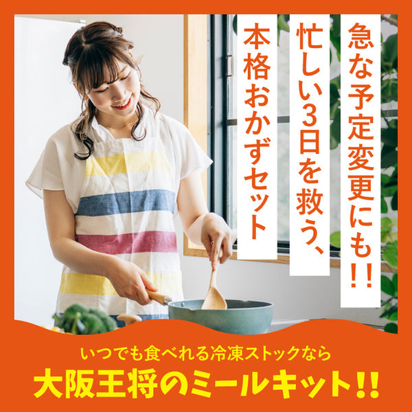 大阪王将「サクッと！お試しミールキット2人前」