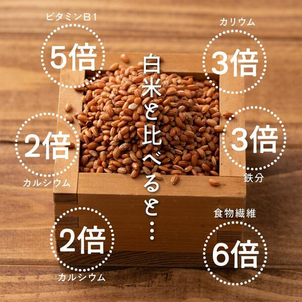 国産「雑穀米 赤米」