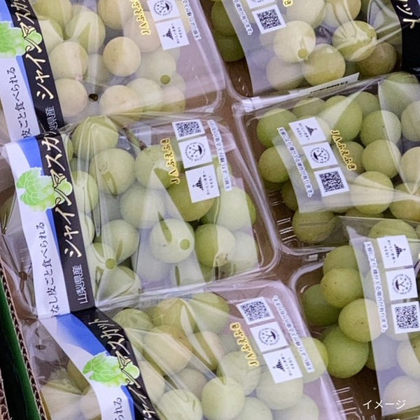 国産「訳あり シャインマスカット」