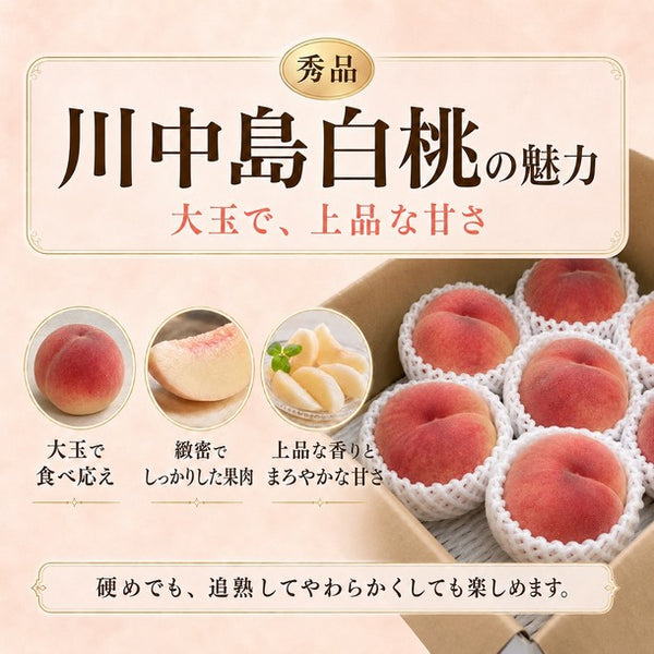 山形県産「川中島白桃（秀品）」