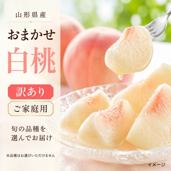 山形県産「おまかせ白桃（訳ありご家庭用）」