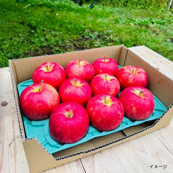 青森県産「訳あり ジョナゴールド」