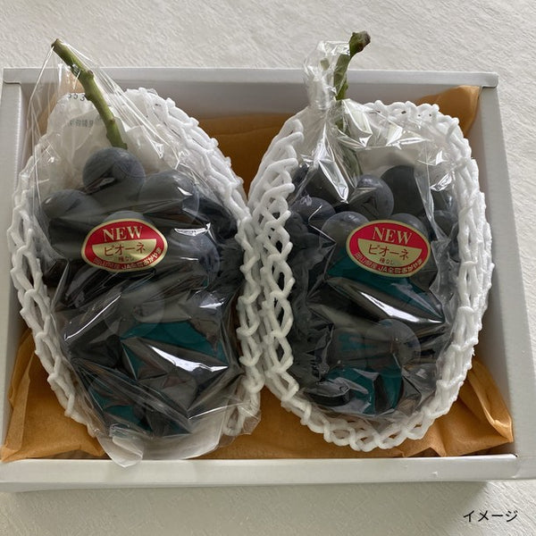 岡山県産「ピオーネ」