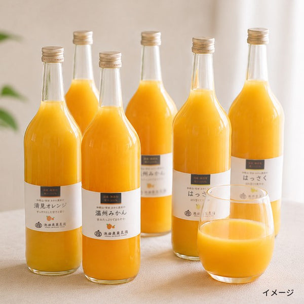 和歌山県産「柑橘ジュース詰合せ（おまかせ3種類）」