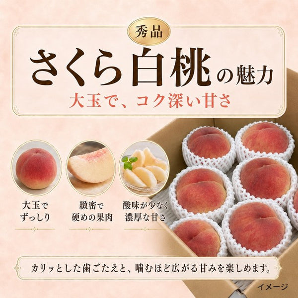 山形県産「さくら白桃（秀品）」