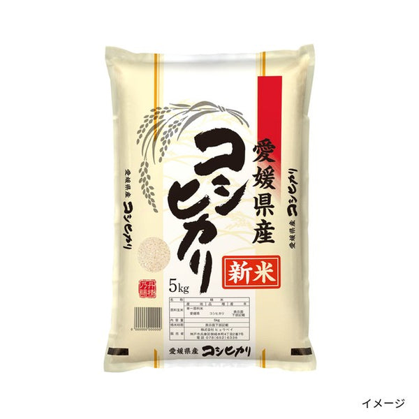 愛媛県産「コシヒカリ」