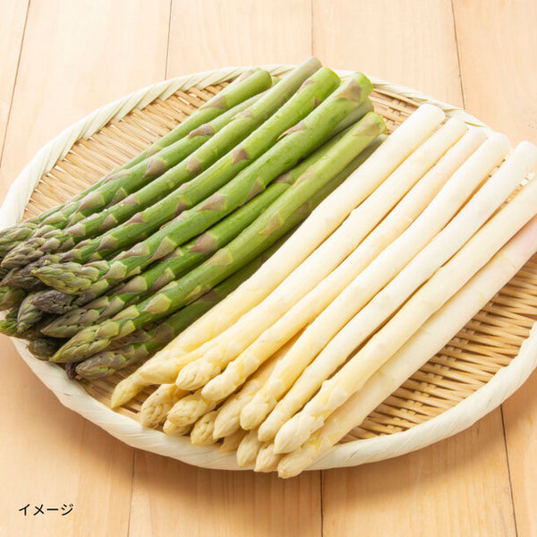 北海道産「グリーン＆ホワイトアスパラセット Lサイズ」