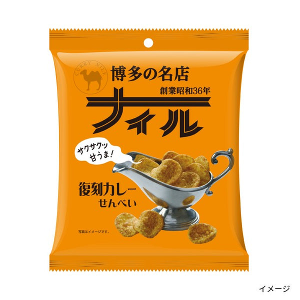 「博多の名店ナイル復刻カレーせんべい」