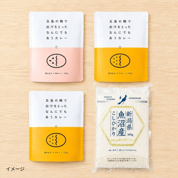 「レトルトカレー3食と魚沼産コシヒカリ2合のセット」