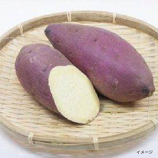国産「べにはるか」