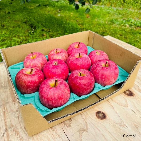 青森県産「訳あり サンふじ」