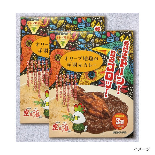 「オリーブ地鶏の手羽元カレー」