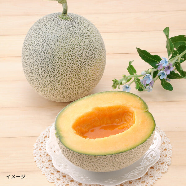 北海道産「赤肉メロン＆生ハムセット」