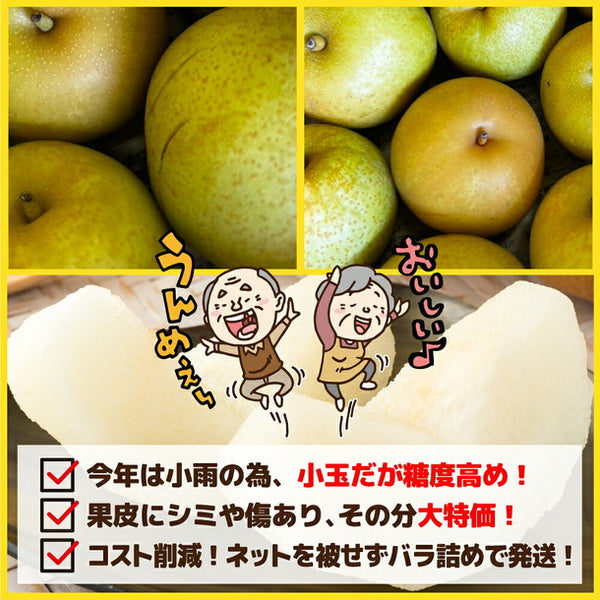 愛媛県産「訳あり和梨 小玉 加工用・ジュース用」