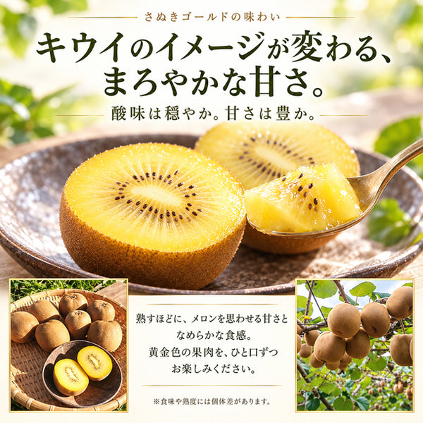 香川県産「さぬきゴールドキウイ」