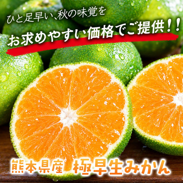 熊本県産「極早生みかん」