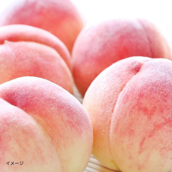 香川県産「もも（8-10玉）」