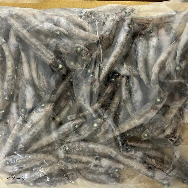 「メヒカリ頭付き」