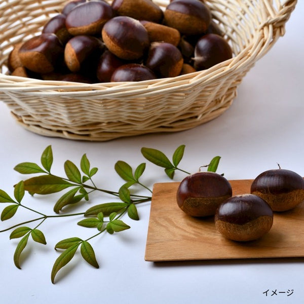 国産「紅はるか約5kgと栗約2kgのセット」