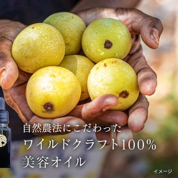 「DUNIA WILD CRAFT OIL」