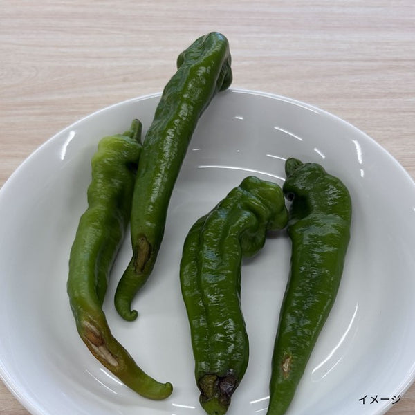 国産「訳あり 万願寺とうがらし」