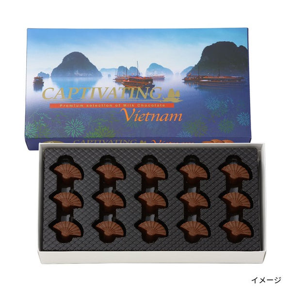 「ハロン湾扇型チョコレート」