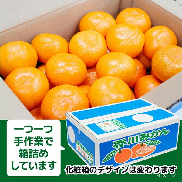 香川県産「早生みかん S～Lサイズ」