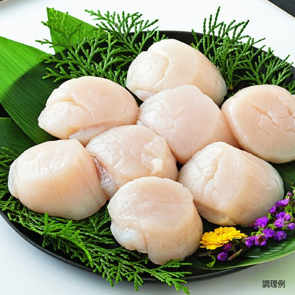 北海道産「大粒ほたて貝柱」