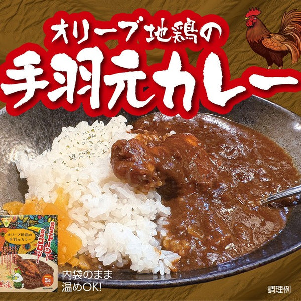 「オリーブ地鶏の手羽元カレー」