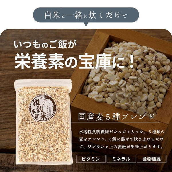 国産「雑穀米 麦5種ブレンド（丸麦/押麦/はだか麦/もち麦/はと麦）」