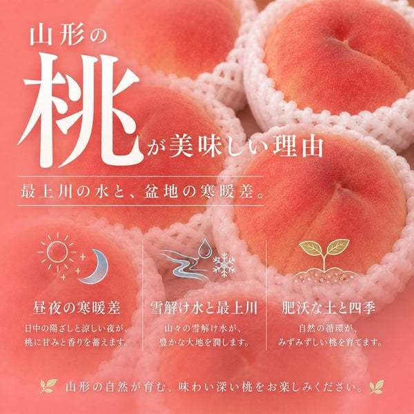 山形県産「川中島白桃（秀品）」