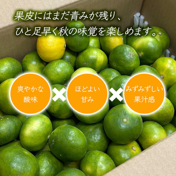 熊本県産「極早生みかん」