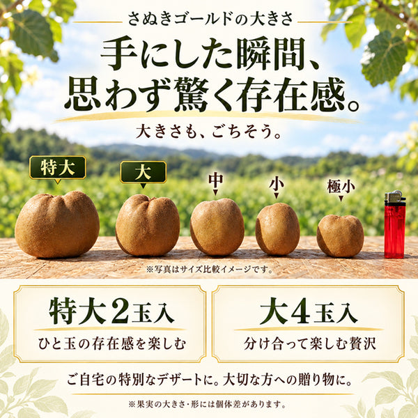 香川県産「さぬきゴールドキウイ」