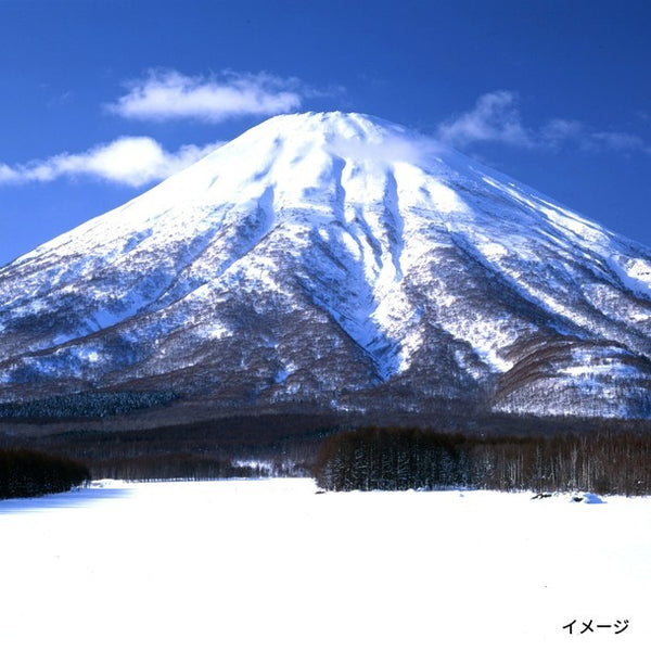 北海道「羊蹄山名水珈琲ゼリー詰合せ MCJ-AE」