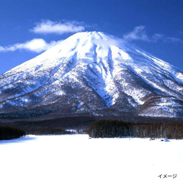 北海道「羊蹄山名水珈琲ゼリー詰合せ MMC-CZ」