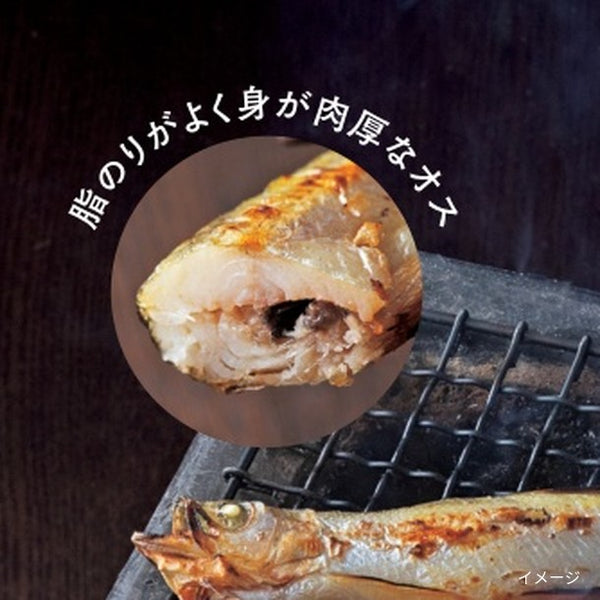 「本ししゃも オス」