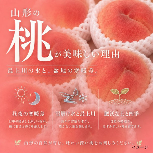 山形県産「伊達白桃（秀品）」