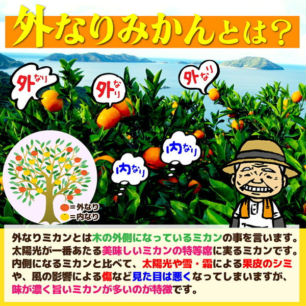 愛媛県産「外なり訳あり スイートまどんな」