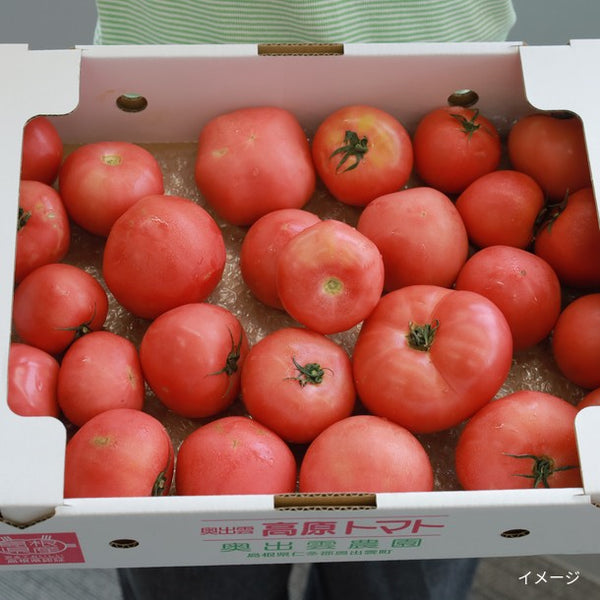 島根県産「訳あり・高原トマト」