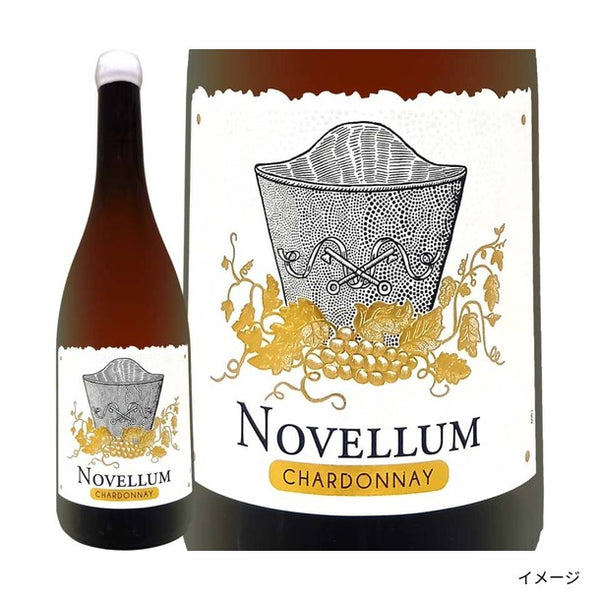 「果実味たっぷり！フルーティーな白ワインセット」
