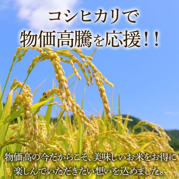 国内産「100％コシヒカリ」