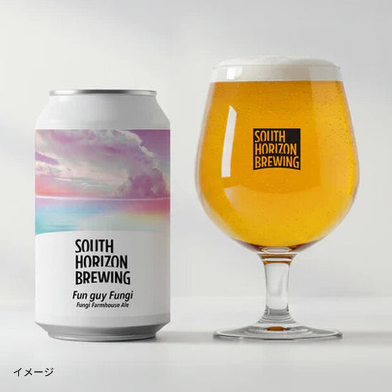 SOUTH HORIZON 「定番クラフトビール」6本のお得通販｜Kuradashi